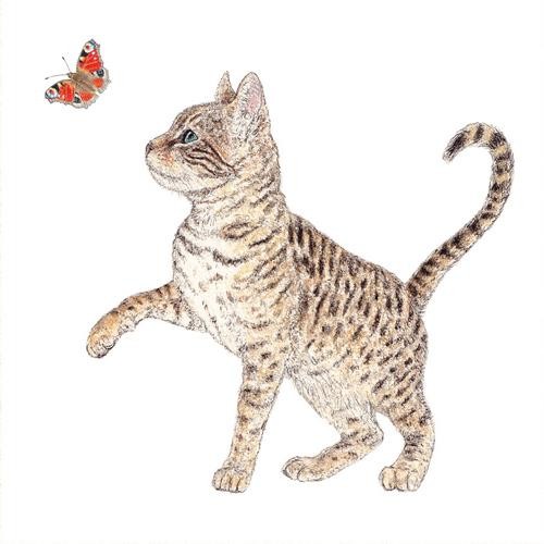 Serviettenmotiv Katze mit Schmetterling