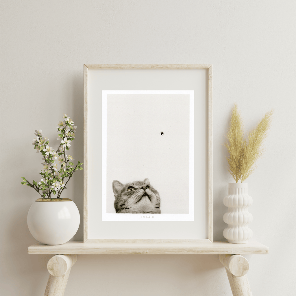 Print "Cat And Fly"