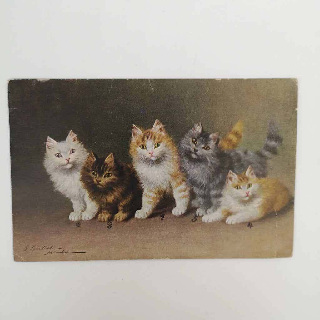 Antike Katzen-Postkarte von 1919 Sir Mittens