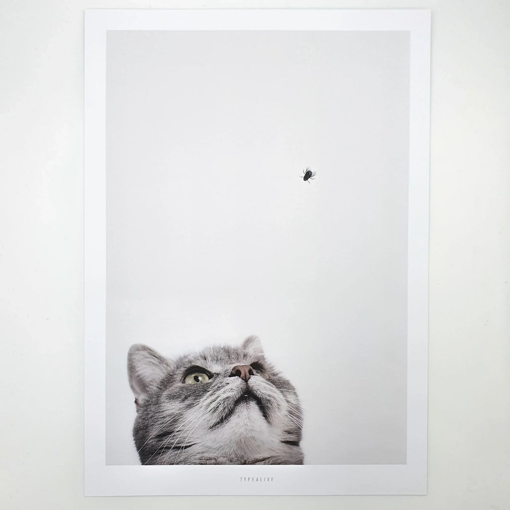Print "Cat And Fly", zwei Größen Sir Mittens