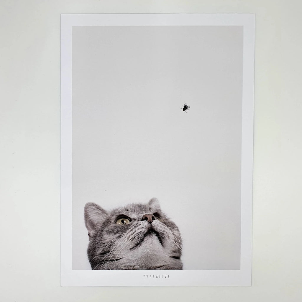 Print "Cat And Fly", zwei Größen Sir Mittens