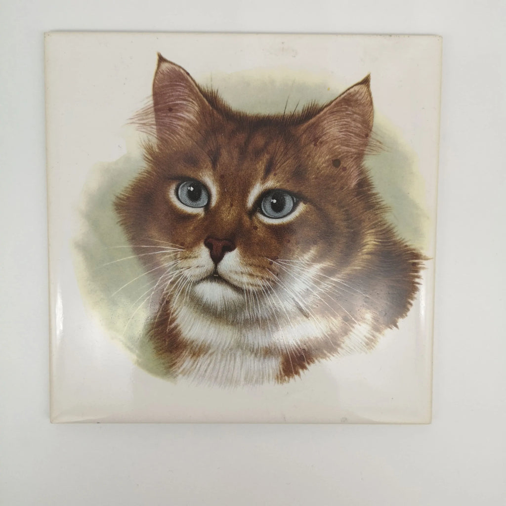 Sammelfliese aus Porzellan mit Katzenporträt Sir Mittens
