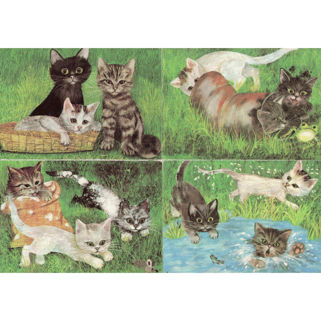 DDR-Katzenpostkarten, 4 Motive