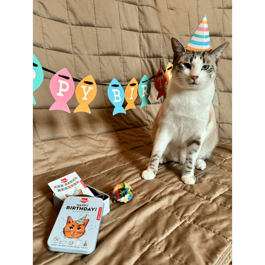 Geburtstags-Kit für eine Katze