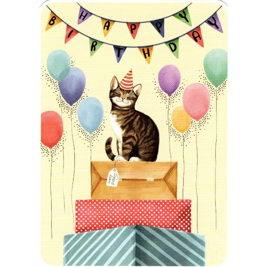 Geburtstags-Postkarte Birthday Cat (Rosie Hilyer)