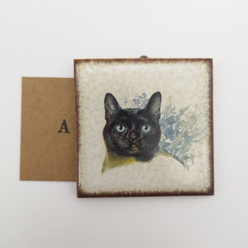 kleine Sammel- und Deko-Fliese mit Katzenporträt