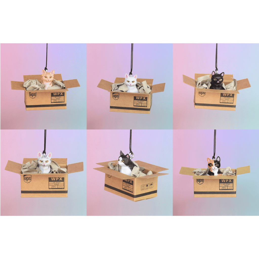 Rückspiegel-Anhänger "Cat in a Box", 6 Varianten