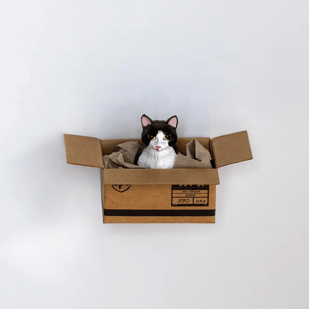 Kühlschrankmagnet "Cat in a Box", 6 Varianten