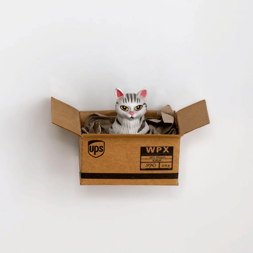 Kühlschrankmagnet "Cat in a Box", 6 Varianten