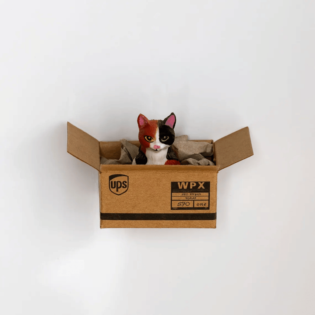 Kühlschrankmagnet "Cat in a Box", 6 Varianten