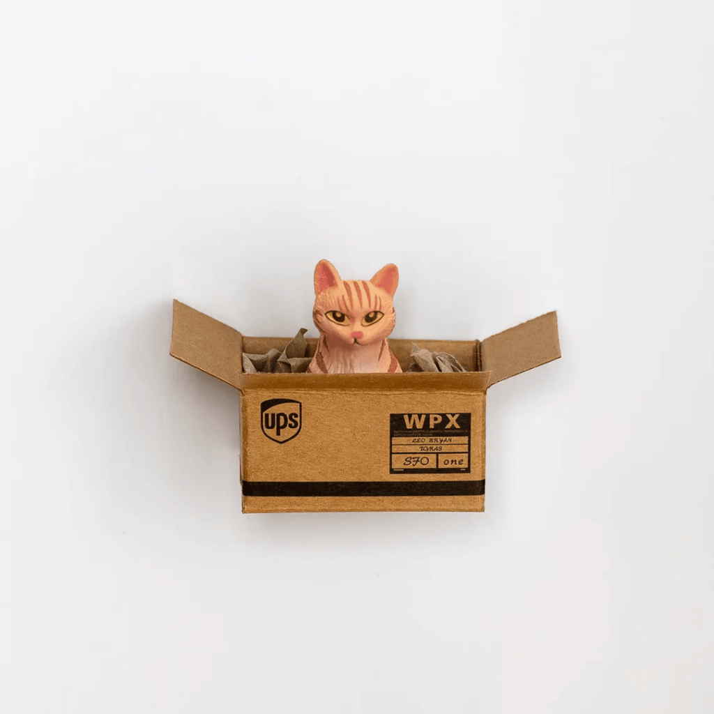 Kühlschrankmagnet "Cat in a Box", 6 Varianten