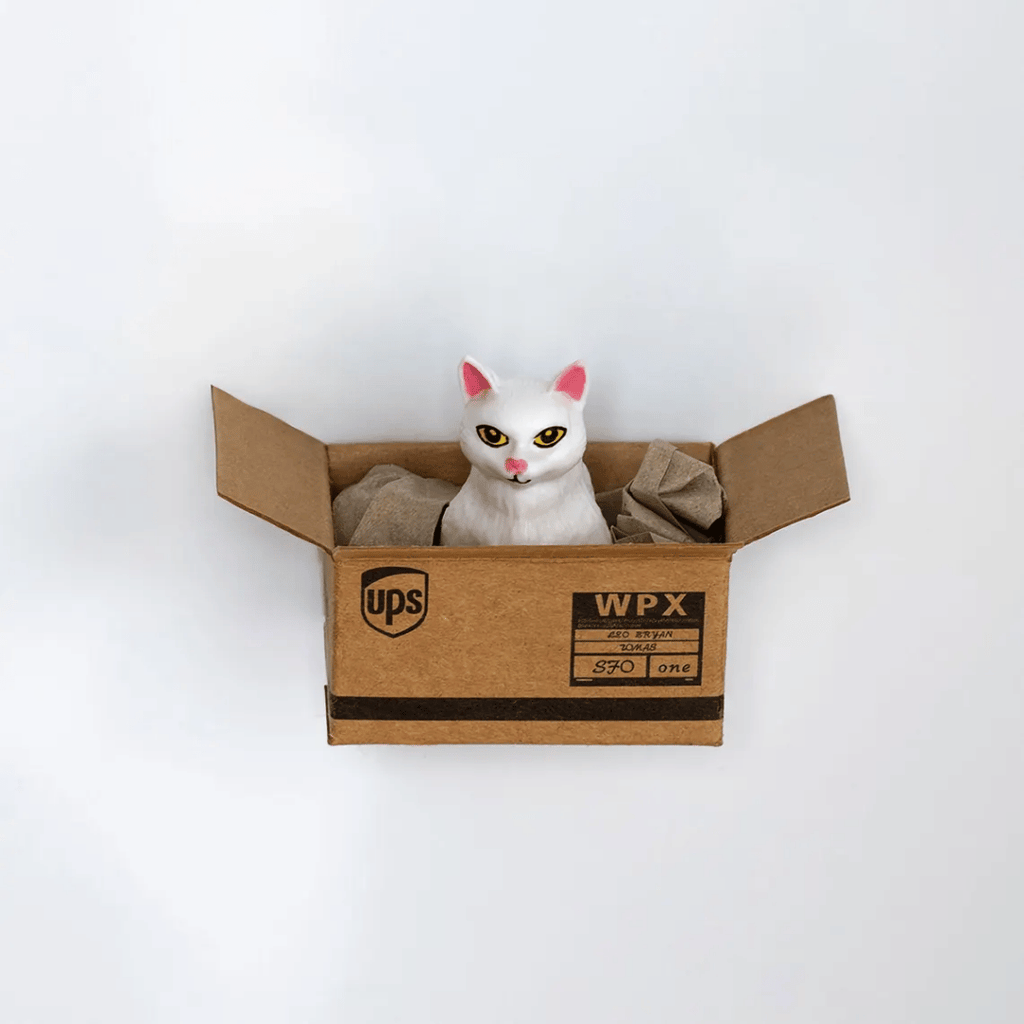 Kühlschrankmagnet "Cat in a Box", 6 Varianten