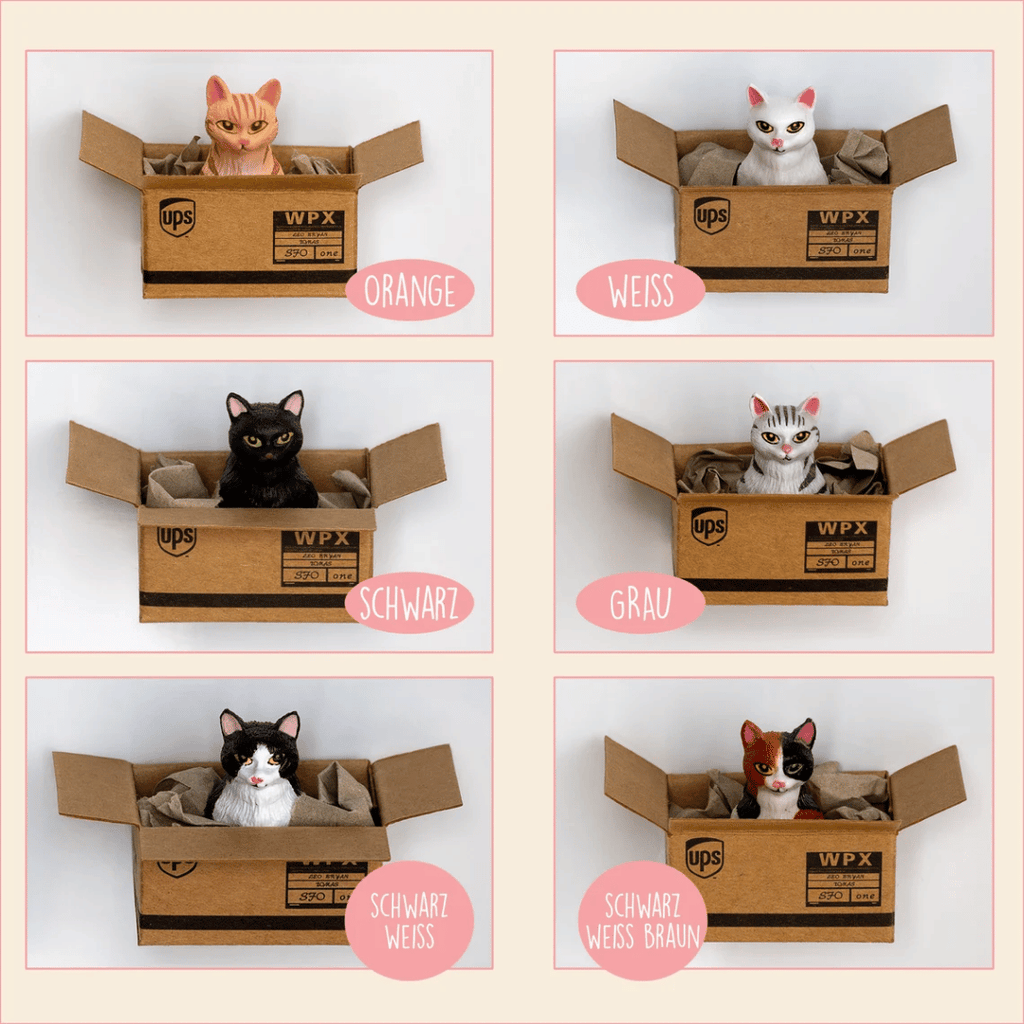 Kühlschrankmagnet "Cat in a Box", 6 Varianten