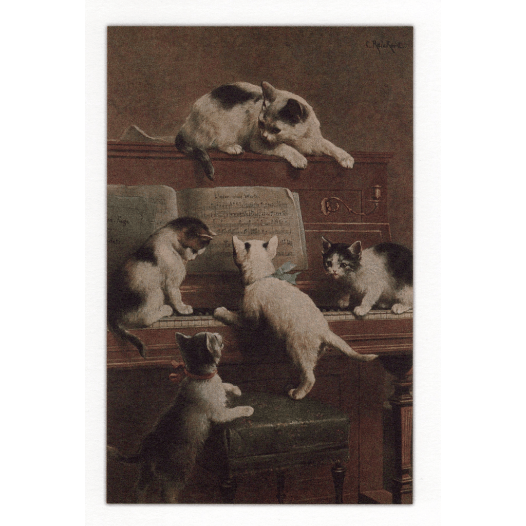 Kunst-Grußkarte Katzen und Musik (C. Reichert)