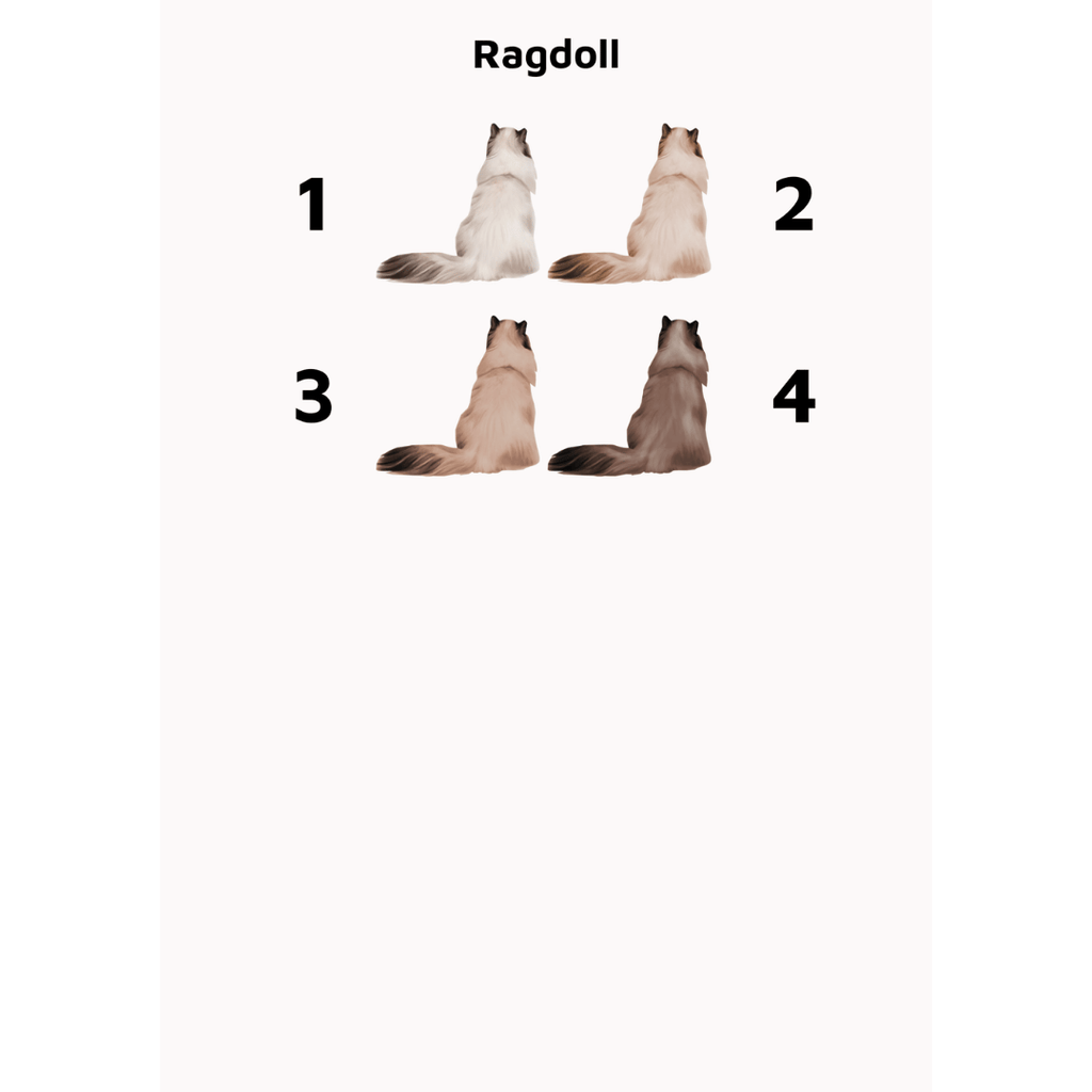 Personalisierter Kunstdruck Regenbogenbrücke zur Erinnerung an deine Katze