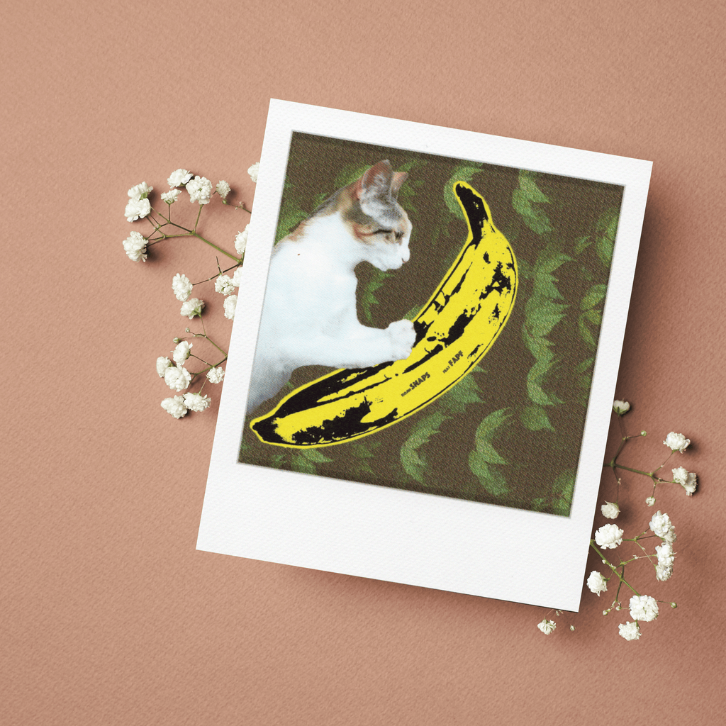 Polaroid-Postkarte "Banana Cat"