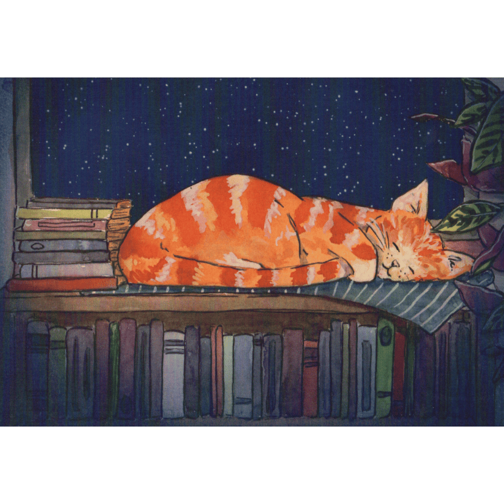 Postkarte Schlafende Katze zwischen Büchern