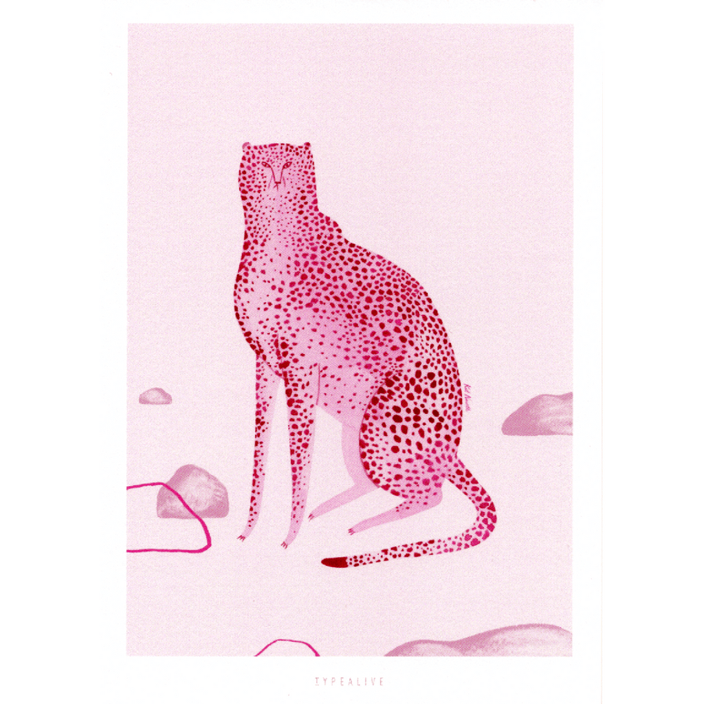 Postkarte Wild Cat