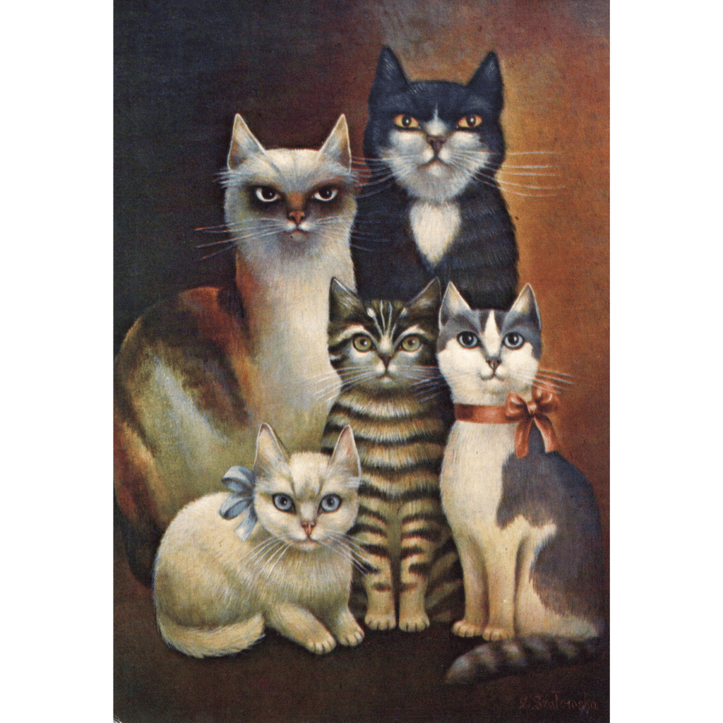 Postkarte mit fünf Katzen