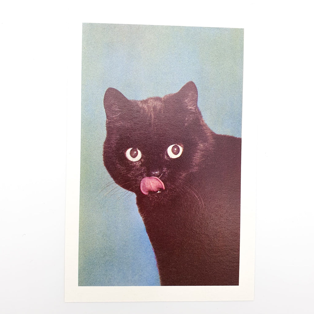 Retro-Postkarte "Black Cat Licking Chops"