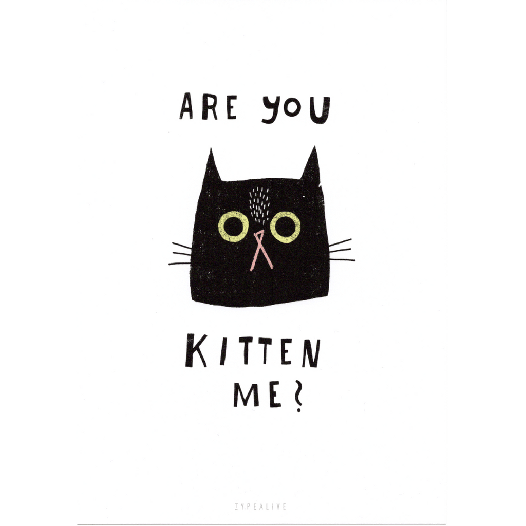 Postkarte mit Katzenmotiv Are you kitten me?