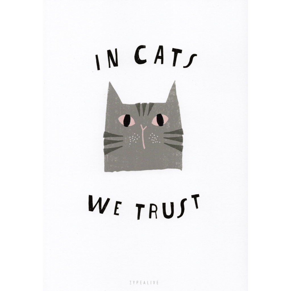 Postkarte mit Katzenmotiv und der Aufschrift In cats we trust