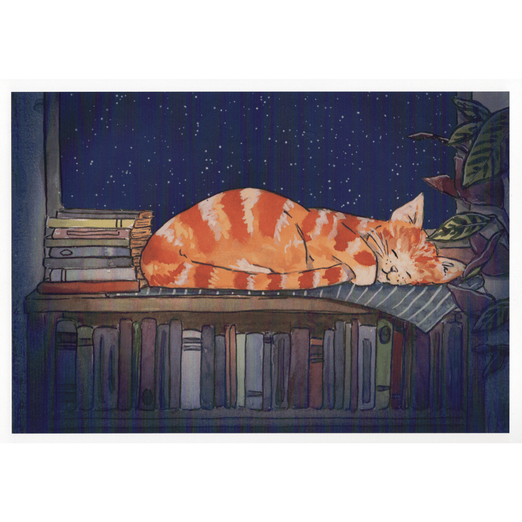 Print Schlafende Katze zwischen Büchern, zwei Größen