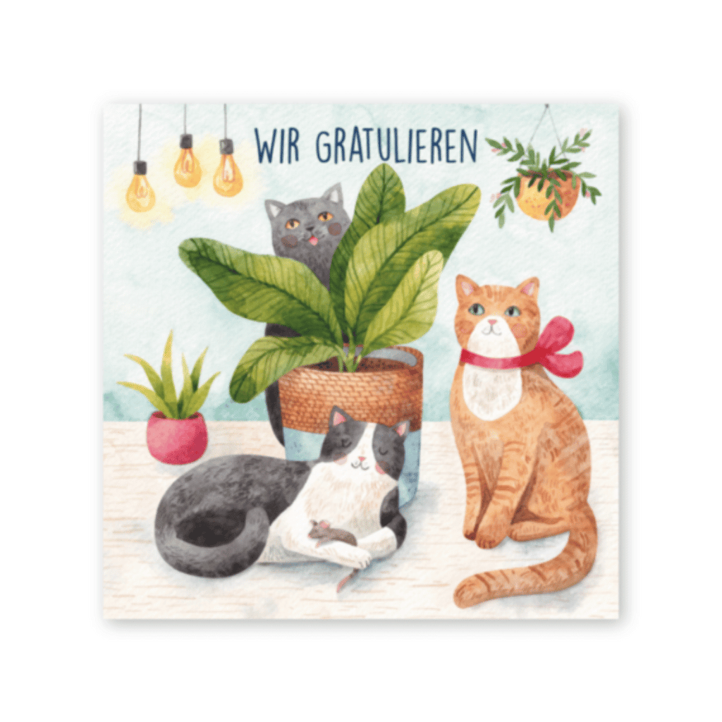 Katzen-Glückwunschkarte "Wir gratulieren"