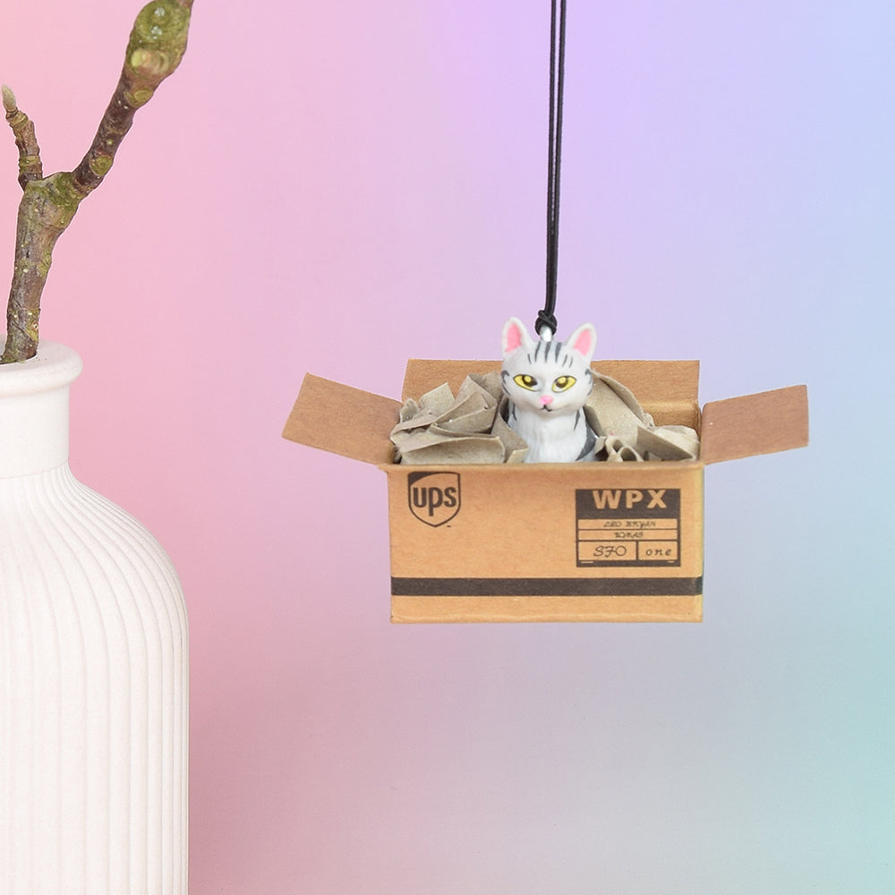 Rückspiegel-Anhänger "Cat in a Box", 6 Varianten