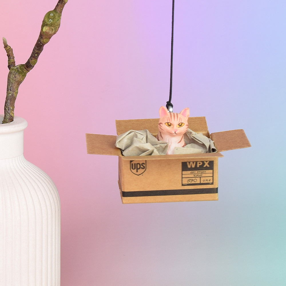 Rückspiegel-Anhänger "Cat in a Box", 6 Varianten