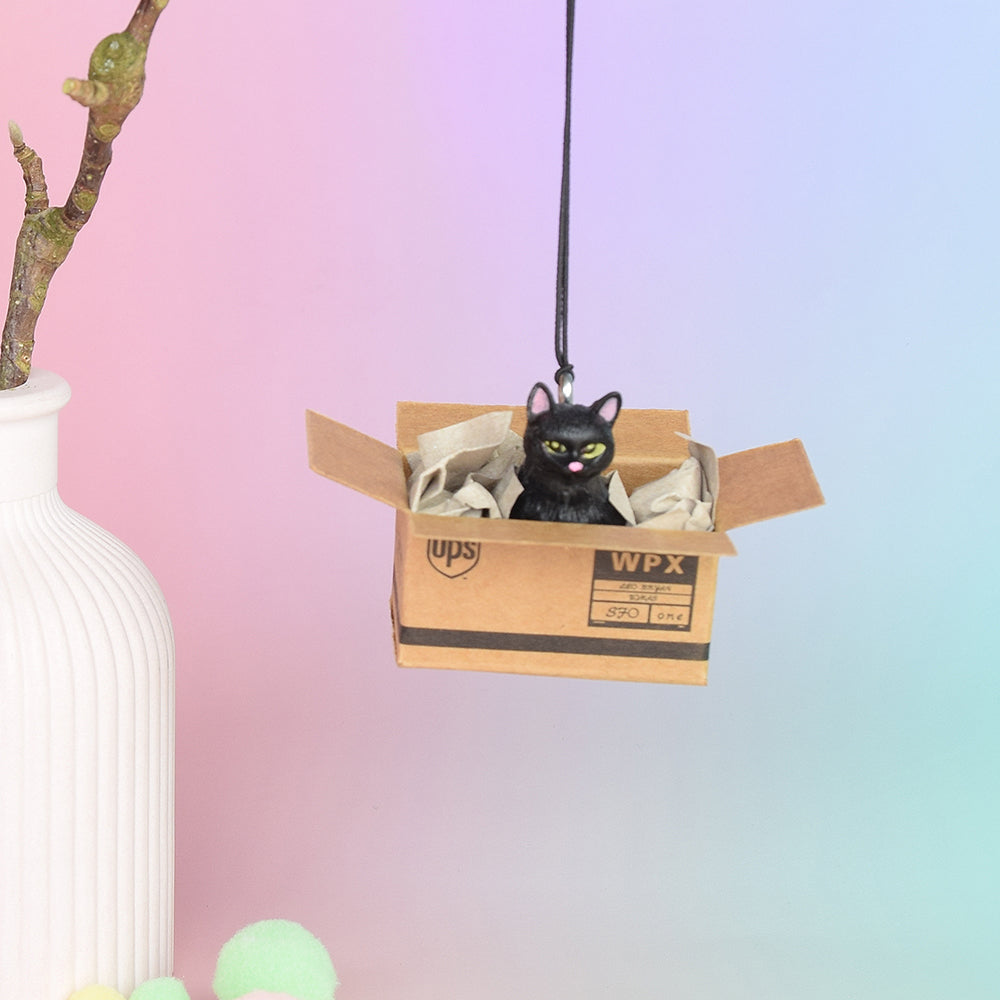 Rückspiegel-Anhänger "Cat in a Box", 6 Varianten