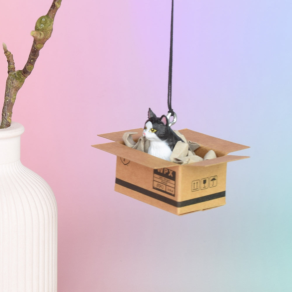 Rückspiegel-Anhänger "Cat in a Box", 6 Varianten