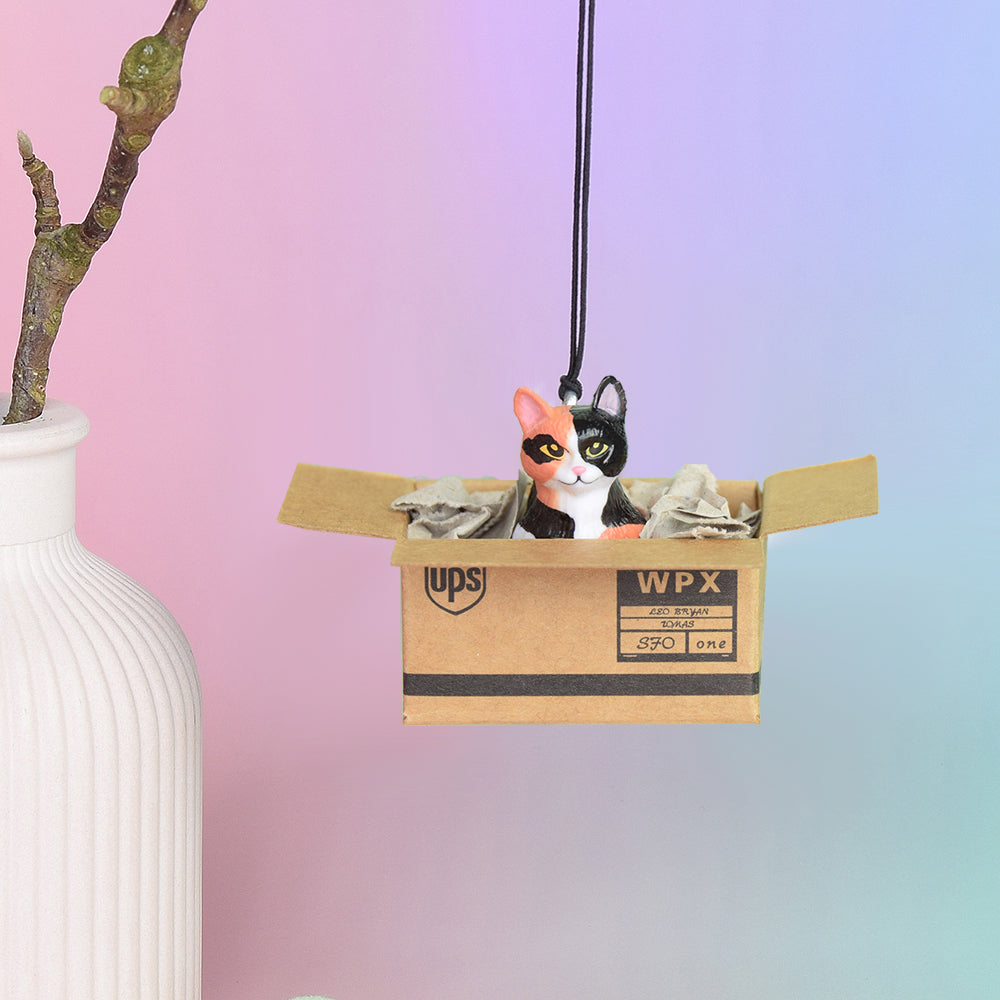 Rückspiegel-Anhänger "Cat in a Box", 6 Varianten