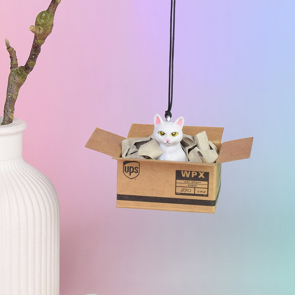Rückspiegel-Anhänger "Cat in a Box", 6 Varianten