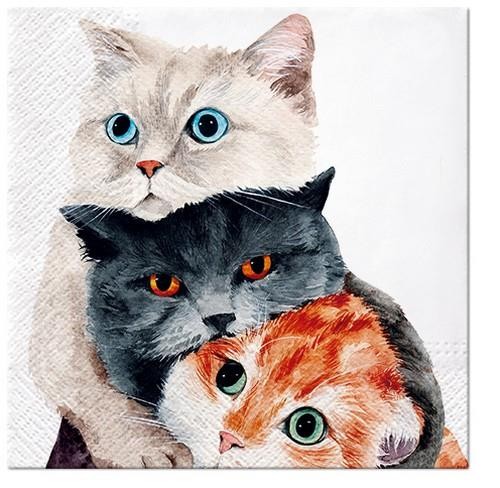 Serviettenmotiv mit drei Katzen