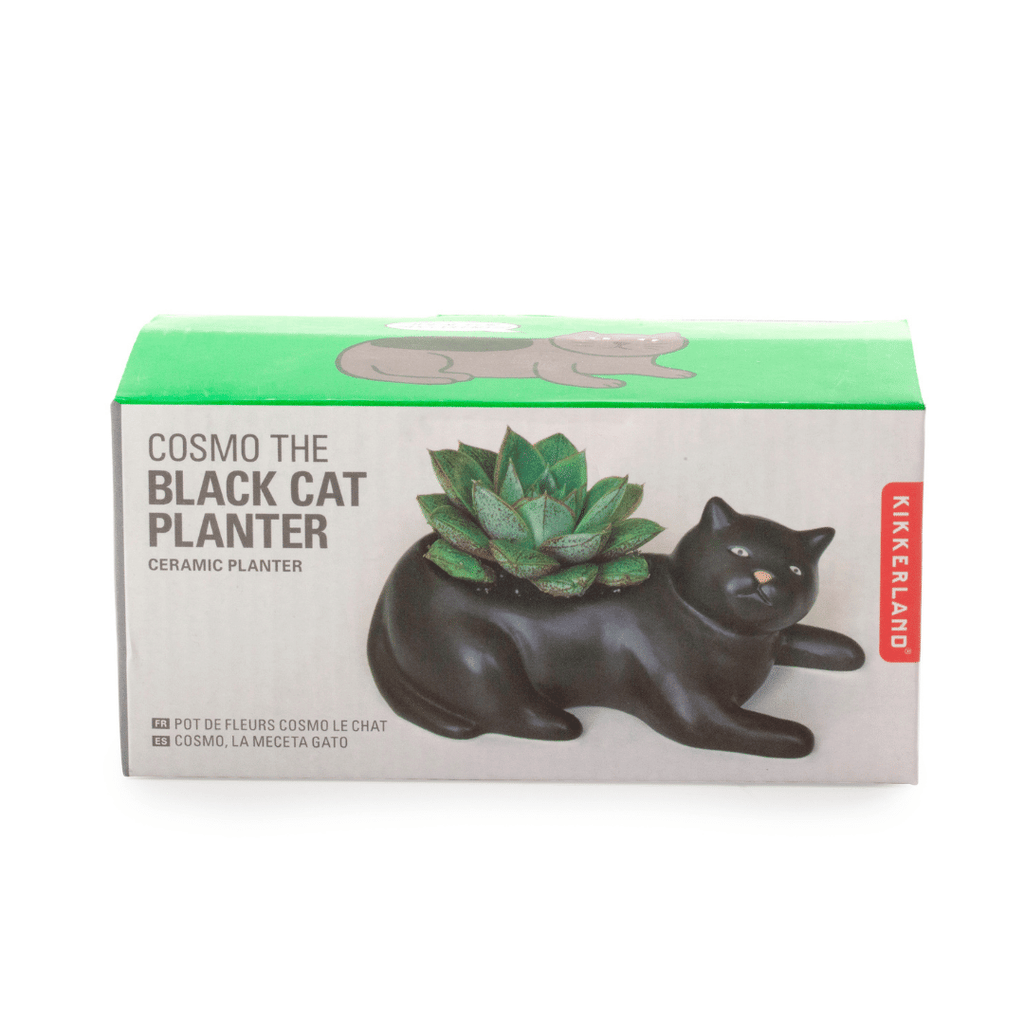 Schwarzer Katzen-Pflanzentopf Cosmo