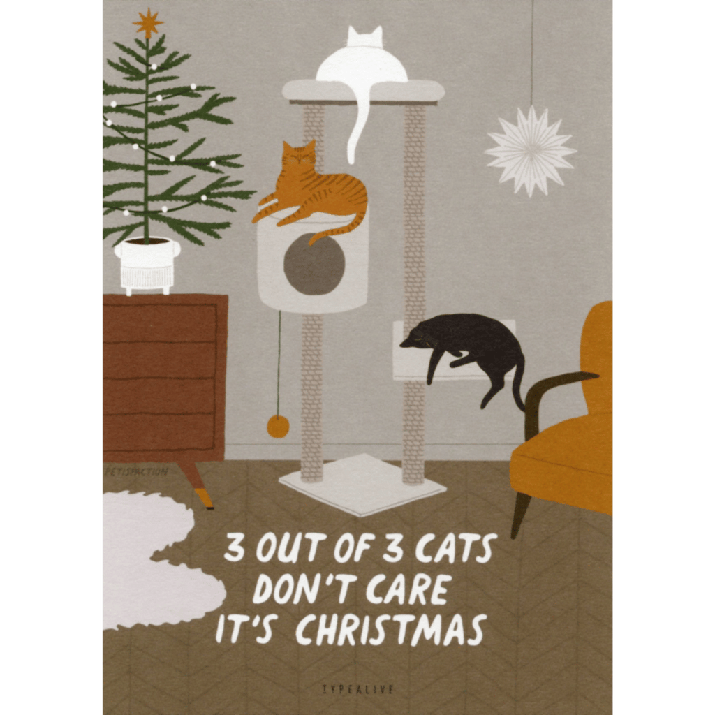 Postkarte "3 Out Of 3 Cats Don't Care It's Christmas"