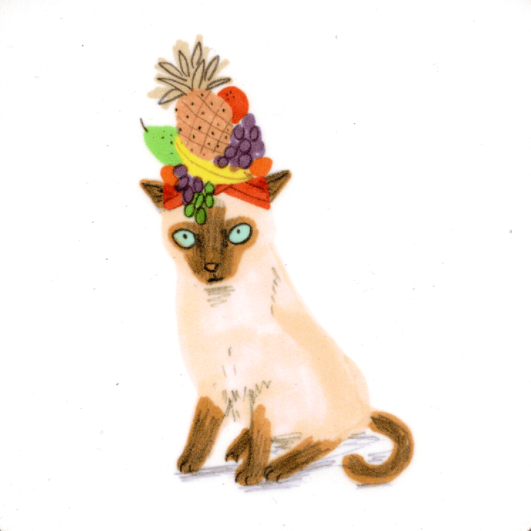 Untersetzer Katze mit Früchtehut