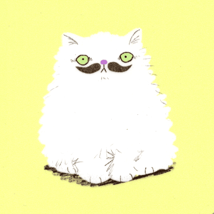 Untersetzer Weiße Schnurrbart-Katze
