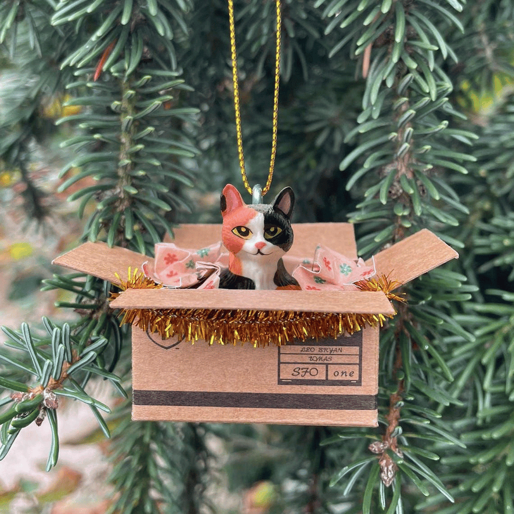 Weihnachtsbaum-Anhänger "Cat in a Box", 6 Varianten