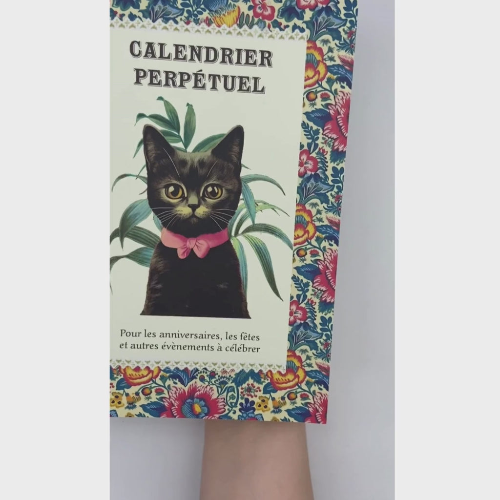 Illustrierter Geburtstagskalender mit Katzenmotiven
