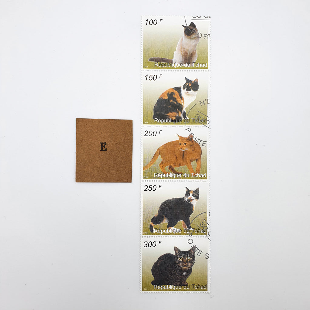 Bunte Katzen-Briefmarkensammlungen, 10 Varianten Sir Mittens