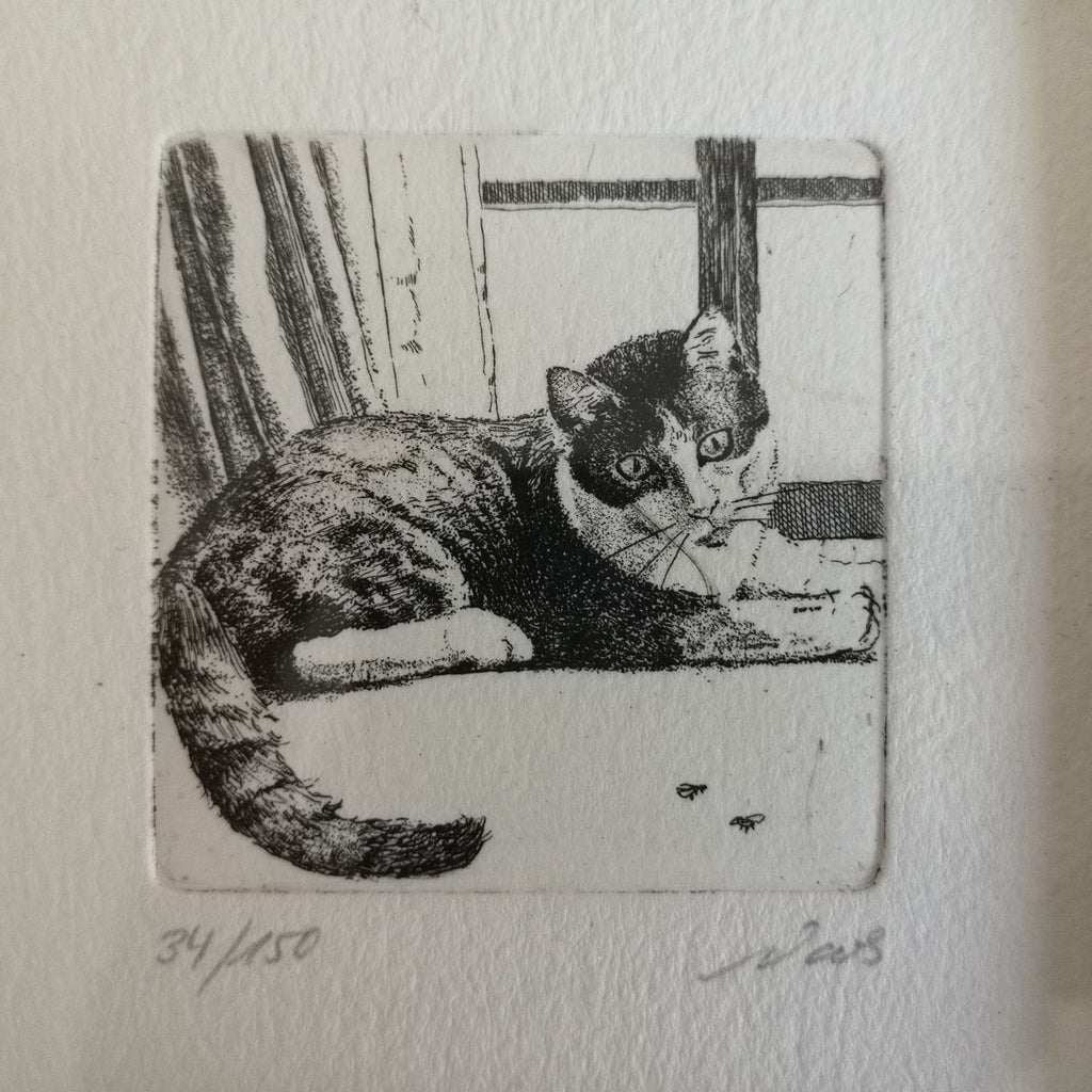 Original-Radierung "Katze am Fenster" von Ute Voos, limitierte Auflage Sir Mittens