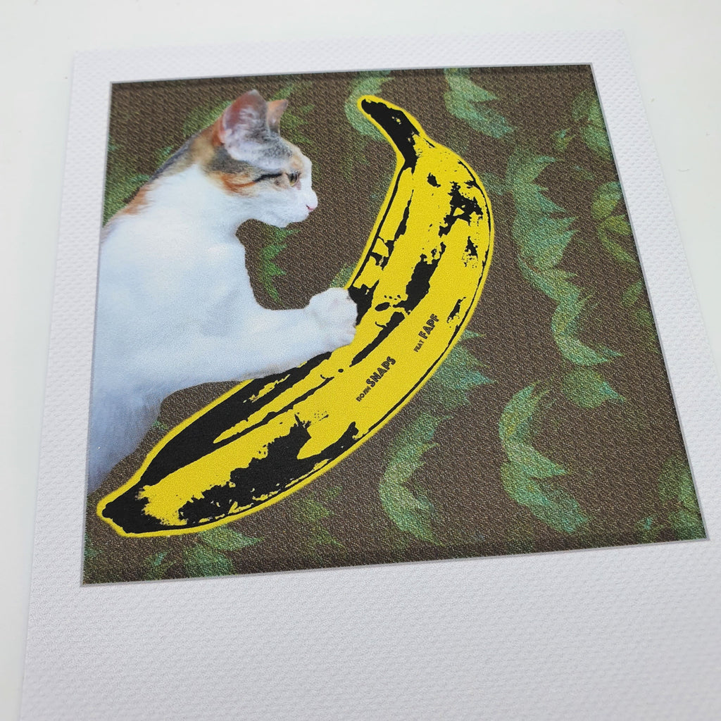 Polaroid-Postkarte "Banana Cat" Sir Mittens