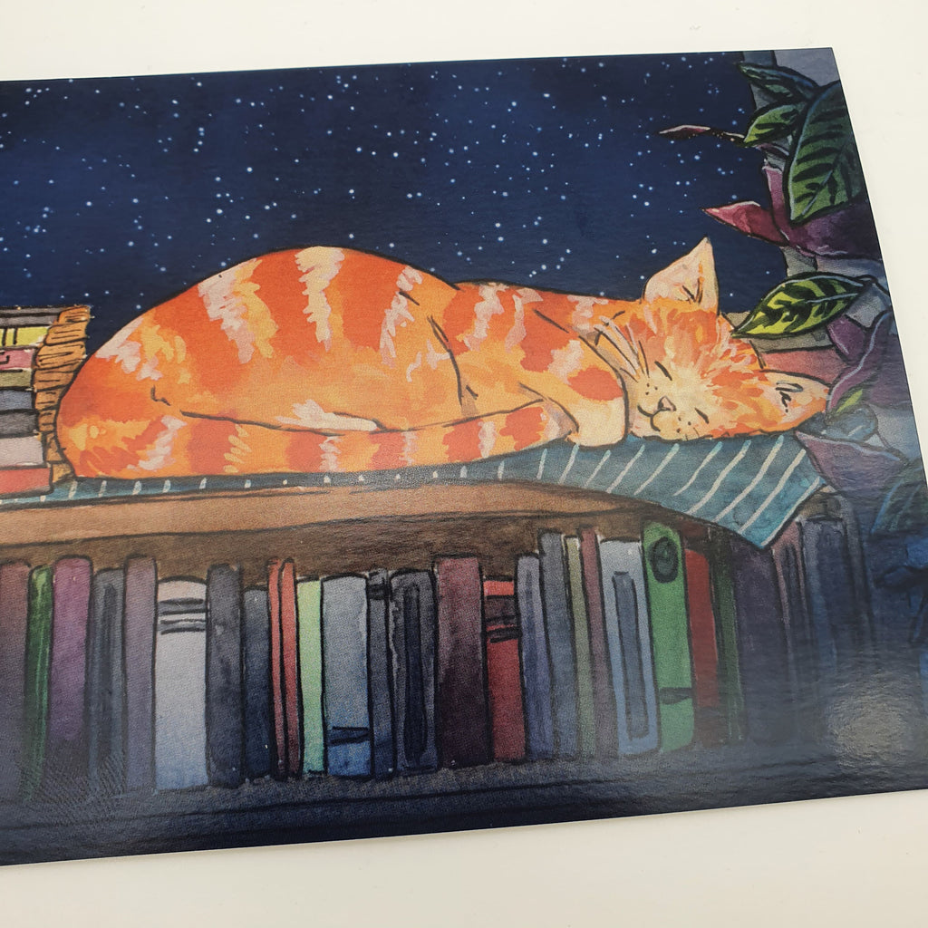 Postkarte "Schlafende Katze zwischen Büchern" Sir Mittens