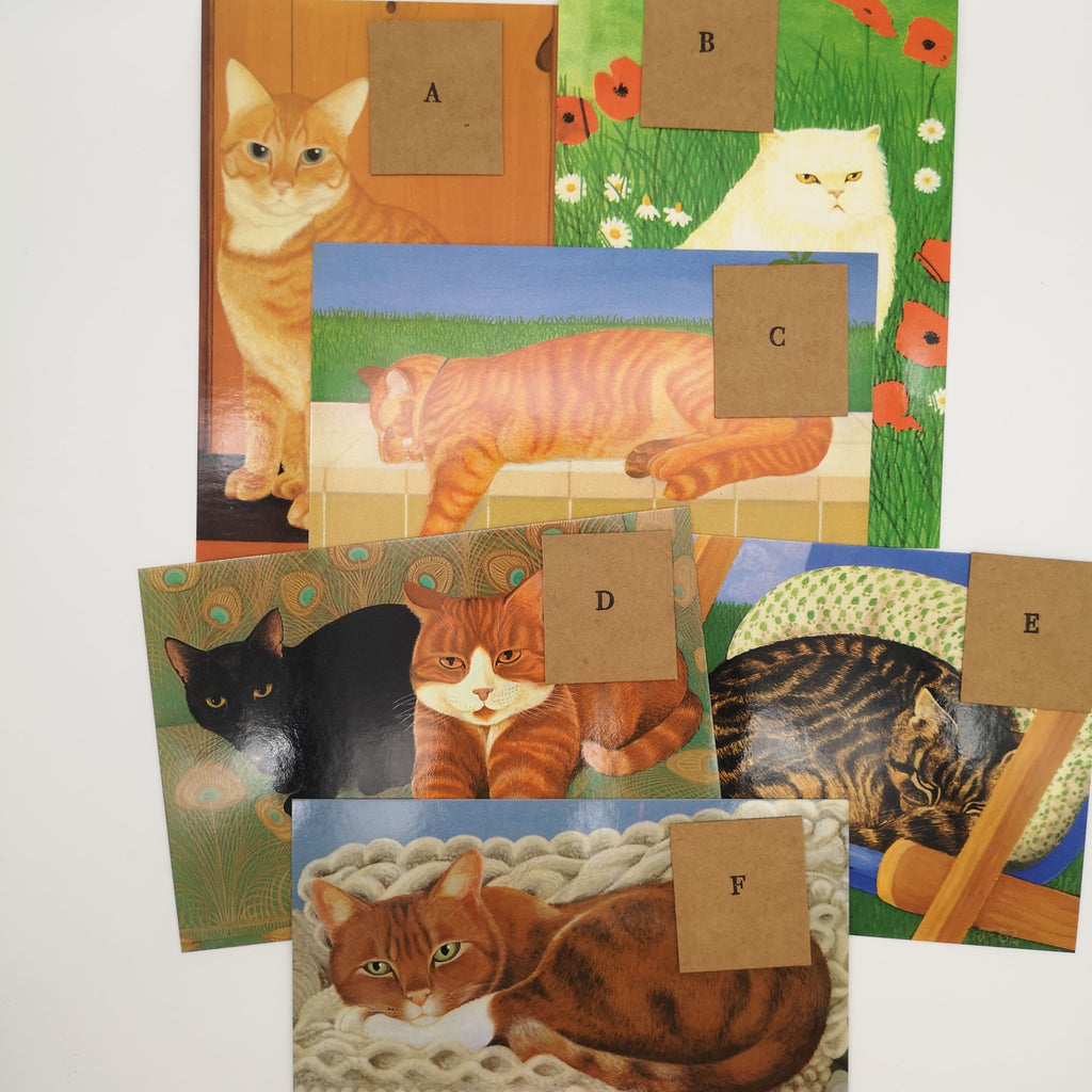 Postkarten mit Katzenmotiven