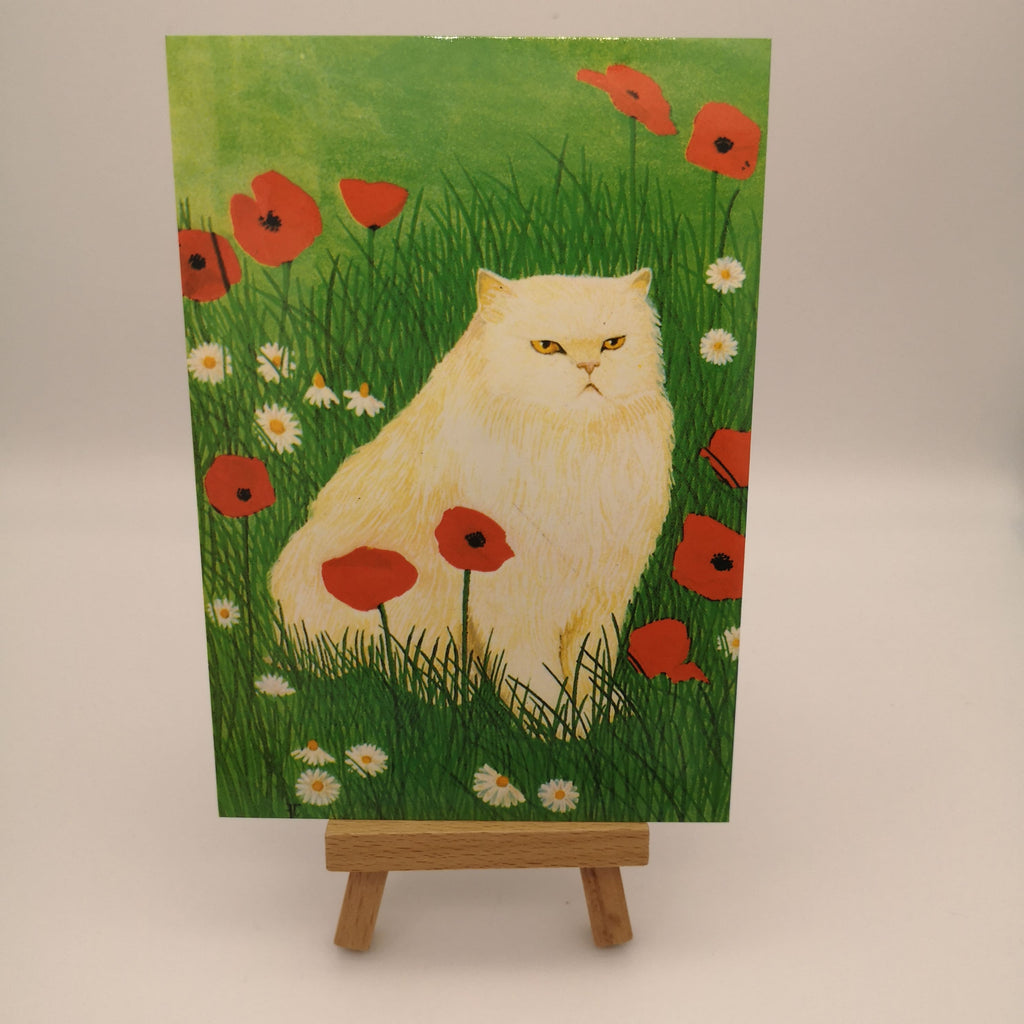 Postkarte mit weißer Katze in einem Mohnblumenfeld