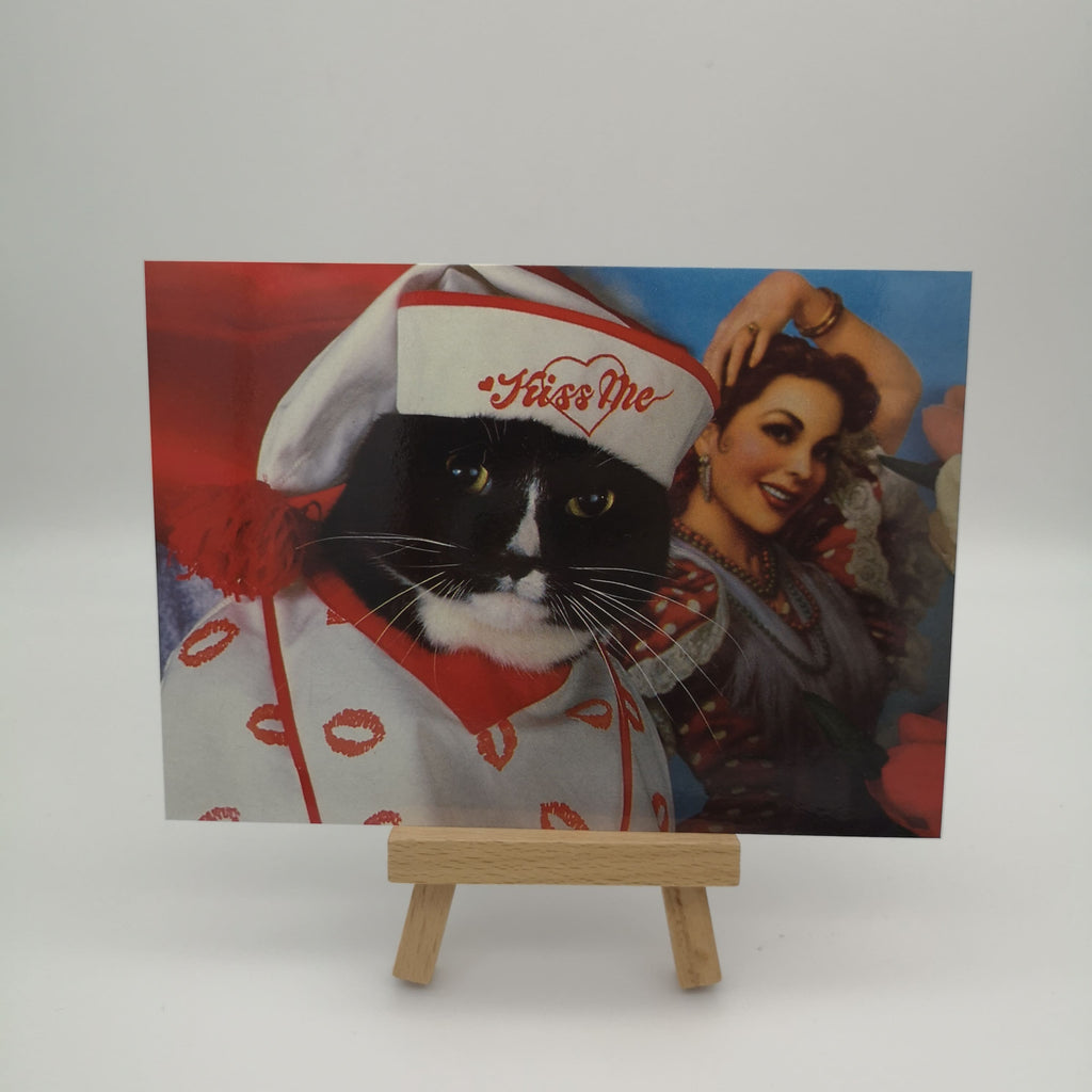 kuriose Postkarte mit einer menschlich verkleideten Katze