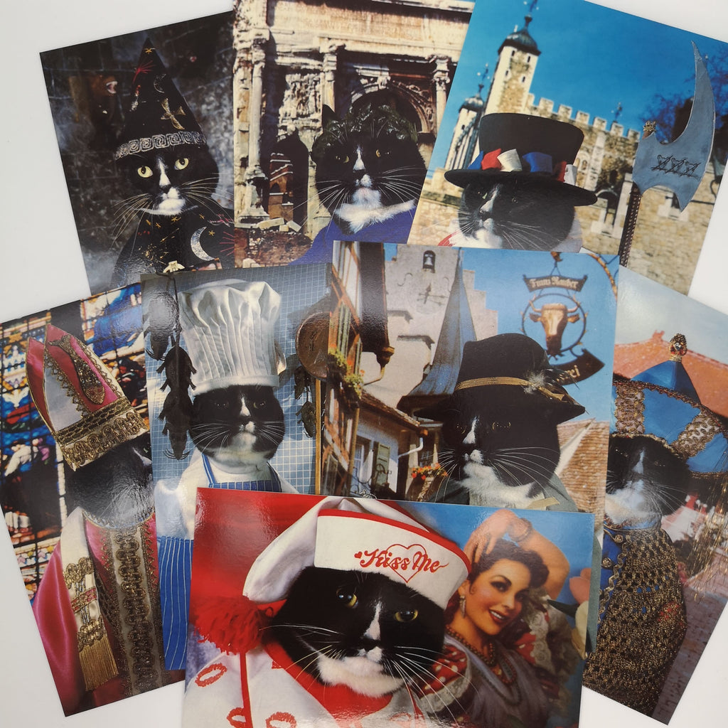 kuriose Postkarten mit menschlich gekleideten Katzen 