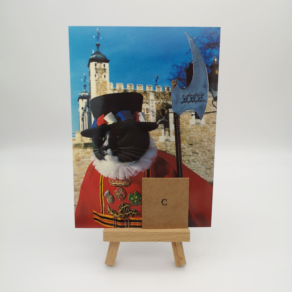 kuriose Postkarte mit einer menschlich verkleideten Katze